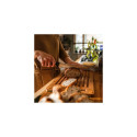 Fiskars Functional Form 1057538 Bread knife 21 cm