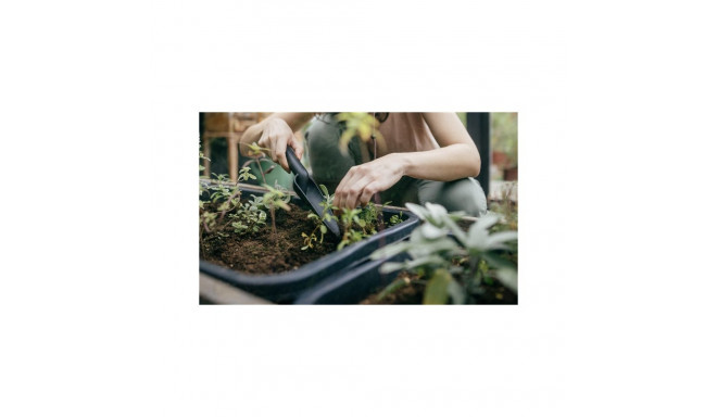 SOLID TRANSPLANTER