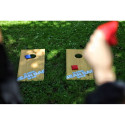 Bean Bag Game outdoor game