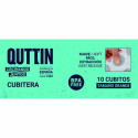Jääkuubiku Vorm Quttin 36 x 13 x 3,5 cm (18 Ühikut)