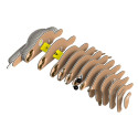 EUGY 3D Cardboard Model Kit - Sloth