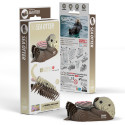 EUGY 3D Cardboard Model Kit - Sea Otter