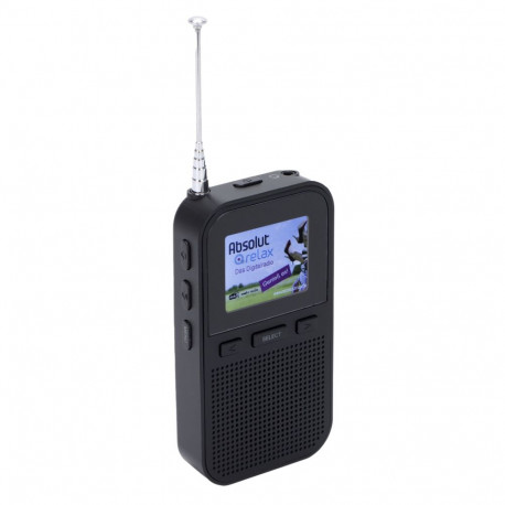Denver DAH-126 kaasaskantav raadio DAB+/FM must