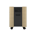 Epson mobiilne A/V kapp ELPCS01