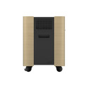 Epson mobiilne A/V kapp ELPCS01