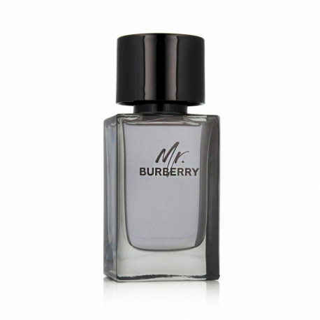 Meeste parfümeeria Burberry MR BURBERRY EDT 100 ml Mr. Burberry