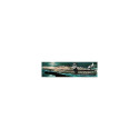 U.s.s. enterprise