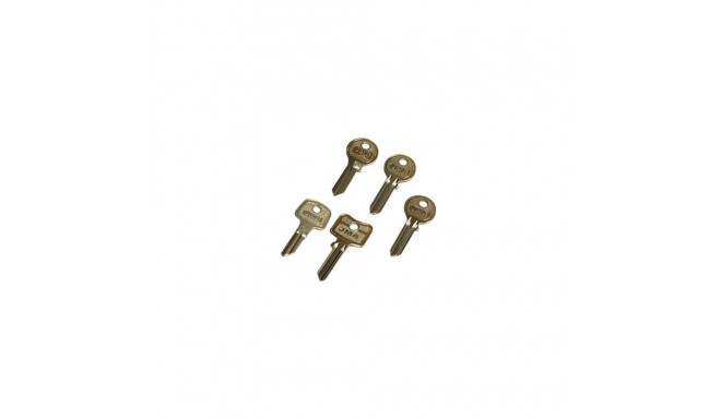 BLANK KEY KAL1 (KAE-1) kale klahv