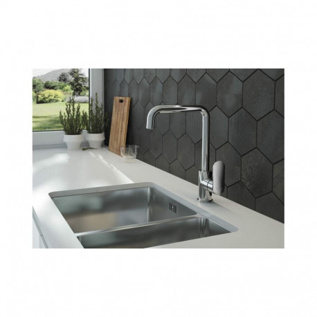 ALPINIA SINK MIXW/ RECT SPT BGA_063M CH