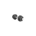 Gymstick 61070-20 dumbbell Adjustable dumbbell 20 kg 2 pc(s)