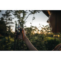 PLUS POWERLEVER PRUNER BYPASS P721