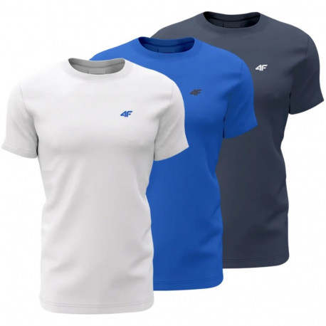 4F meeste t-särk M1895 3-pakk 4FWSS24TTSHM1895 91S L, tumesinine, sinine, valge