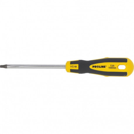 Wkrętak torx z otworem t25*100mm prof. 'soft touch' proline