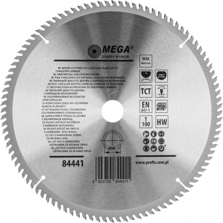 saeketassaag puidule 300*100t*30mm