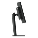 Lenovo ThinkVision T34w-30 LED display 86.4 cm (34&quot;) 3440 x 1440 pixels Wide Quad HD Black