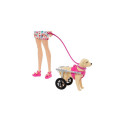 Barbie Doll with a Toy Pup and Dog in a Wheelchair, Plus Pet Accessories