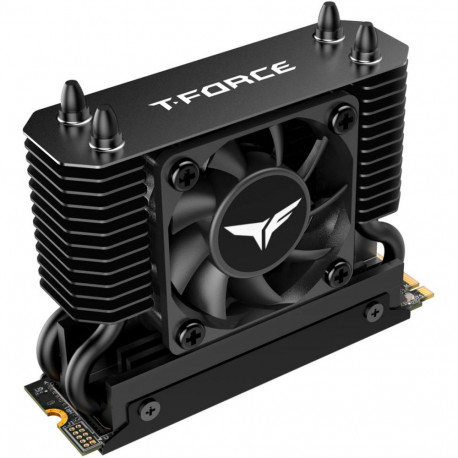 Team Group T-Force GE Pro 4 TB (black/gold, PCIe 5.0 x4 | M.2 2280 | AirFlow I heatsink)