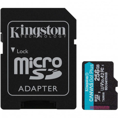 Kingston Canvas Go! Plus 256 GB microSDXC (black, UHS-I U3, Class 10, V30, A2)