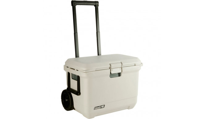 PRO 55QT (beige, mit Rollen)