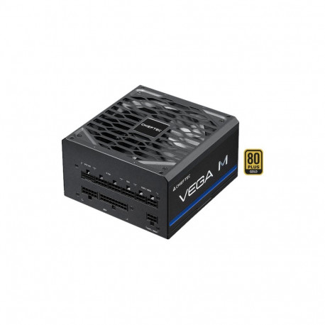 Vega M PPG-750-C (schwarz, 1x 12 Pin High Power GPU, 4x PCIe, 750 Watt)