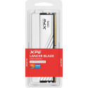ADATA DDR5 - 16GB - 6000 - CL - 36, single (white, AX5U6000C3616G-SLABWH, XPG Lancer Blade, INTEL XM