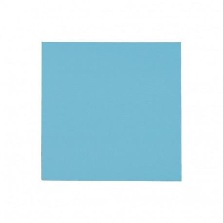 Thermal Grizzly Minus Pad Pro - 100x100x1.0mm