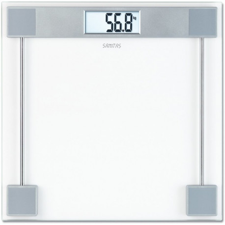 SGS 06  (transparent/silber)