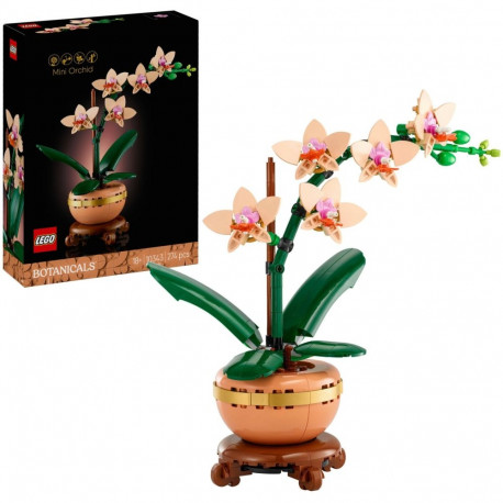 Botanicals miniorkidee 10343