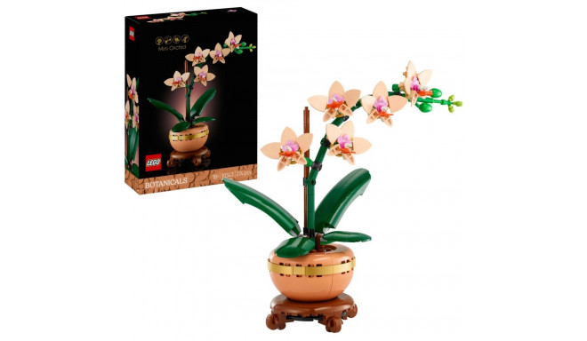 10343 Botanicals Mini-Orchidee