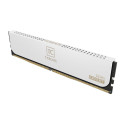Team Group DDR5 - 32GB - 6000 - CL - 38 (2x 16 GB) dual kit, memory (white, CTCWD532G6000HC38ADC01, 