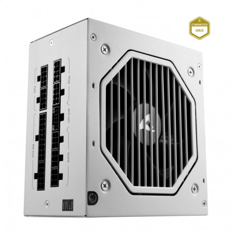 Sharkoon Rebel P20 750 White, PC power supply (white, 1x 12 pin high power connector, 4x PCIe, cable