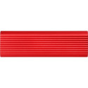 Patriot Transporter Lite SSD 4 TB, External SSD (red, USB-C 3.2 Gen 2 (10 Gbit/s)) Patriot Transporter Lite SSD 4 TB, External SSD (red, USB-C 3.2 Gen 2 (10 Gbit/s))