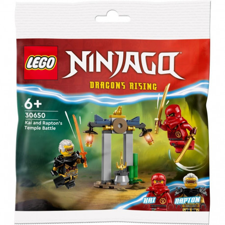 LEGO 30650 Ninjago Kai and Rapton's Duel at the Temple, construction toy