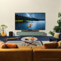 LG OLED55C48LA.AEU