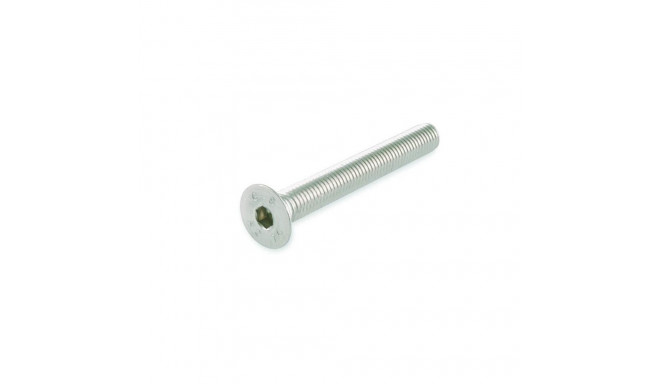 pesa kruvi M 5x30 A2-70 DIN7991/ 4 tk