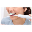 Philips asendusharjapead HX6014/87 Sonicare ProResults pead täiskasvanutele 4 harjapead kaasas valge Philips asendusharjapead HX6014/87 Sonicare ProResults pead täiskasvanutele 4 harjapead kaasas valge