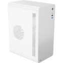 Aerocool CS-110-S-WT-v1, tower case (white)