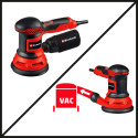 Einhell eccentric sander TC-RS 425 E (red/black, 425 watts)