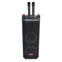 Party Trolley Speaker 600W (80W RMS) with Karaoke & Disco Lightning