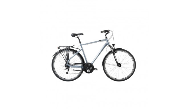 ROMET Wagant 5 (2024) 28" 21" L, hõbe-hall