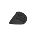 Vertical Mouse Natec Euphonie Pro Wireless