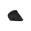 Vertical Mouse Natec Euphonie Pro Wireless