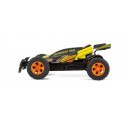 RC High Speed car with rump