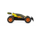 RC High Speed car with rump
