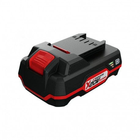 battery 20v team 80001156