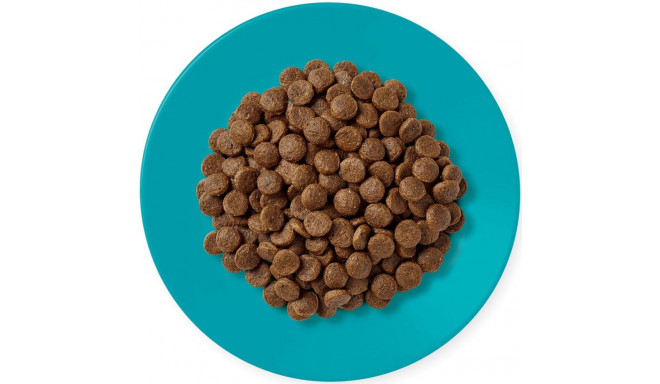 APPLAWS täiskasvanute ookeanikalaga ja lõhega kuiv kassitoit 1,8kg