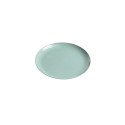 SHALLOW BIG PLASTIC PLATE. GREEN
