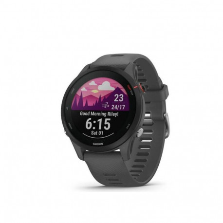 Garmin Forerunner 255 Smartwatch 46mm / Slate Gray