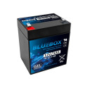BLUEBOX geelakuga VRLA AGM 12V5Ah auto aku jaoks