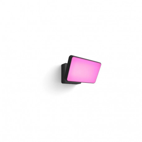 Philips Hue White and colour ambience Discover Outdoor Floodlight